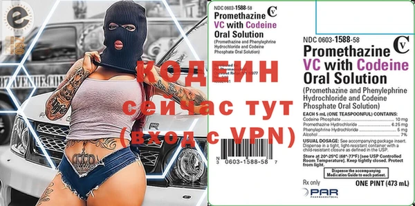 стаф Балахна