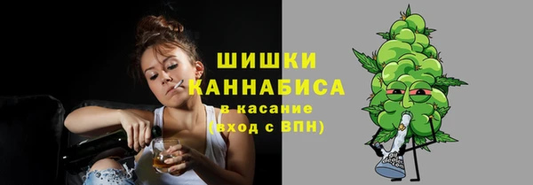 стаф Балахна
