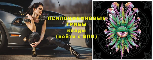 стаф Балахна