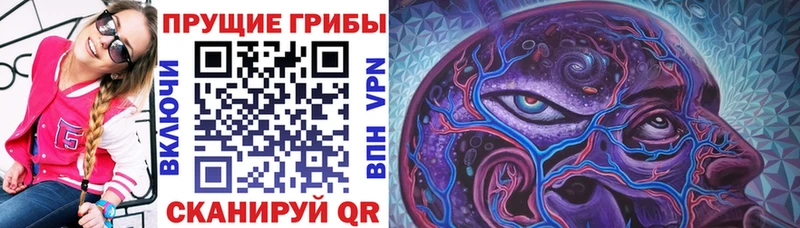 Псилоцибиновые грибы Cubensis  Купить  Октябрьск 
